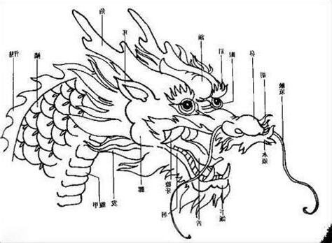一條好龍 畫畫